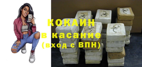 винт Ельня