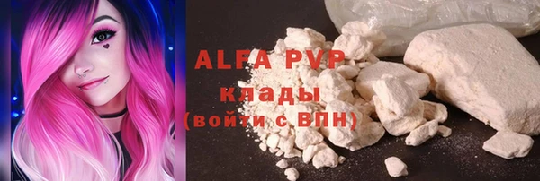 винт Ельня