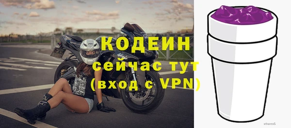 ешки Дмитриев