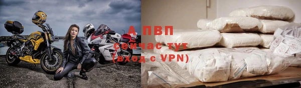 ешки Дмитриев