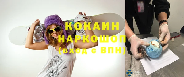 винт Ельня