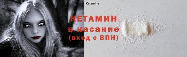 винт Ельня