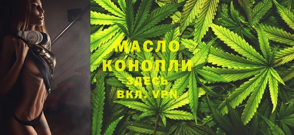 ешки Дмитриев