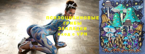 винт Ельня