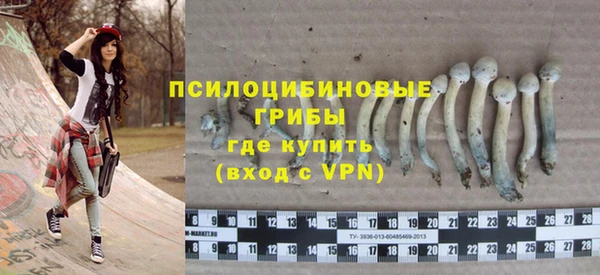 сатива Нефтекумск