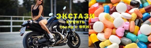 винт Ельня