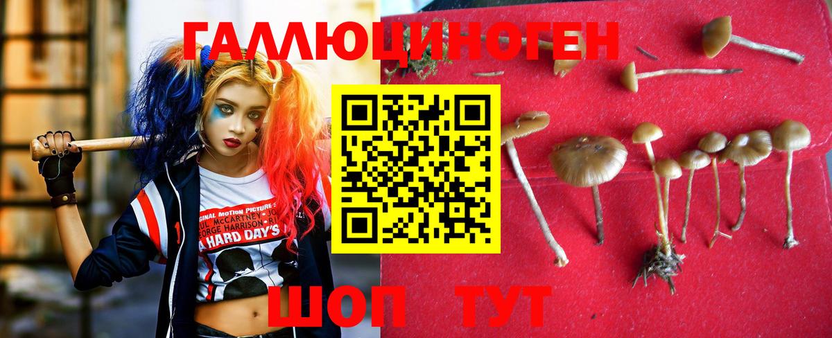 Псилоцибиновые грибы прущие грибы  Вход с VPN  Псилоцибиновые грибы Psilocybe  Славянск-на-Кубани 